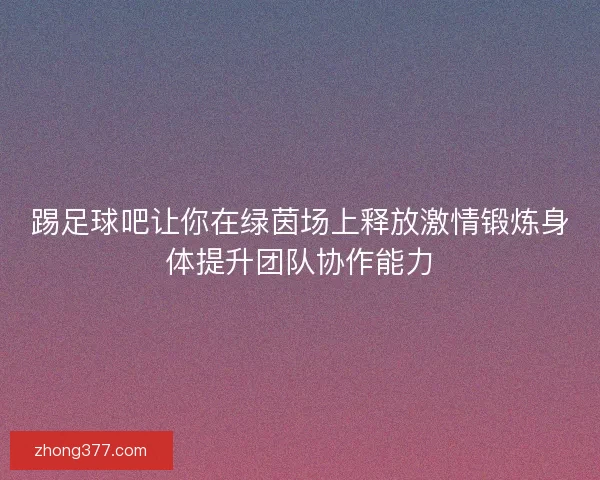 踢足球吧让你在绿茵场上释放激情锻炼身体提升团队协作能力